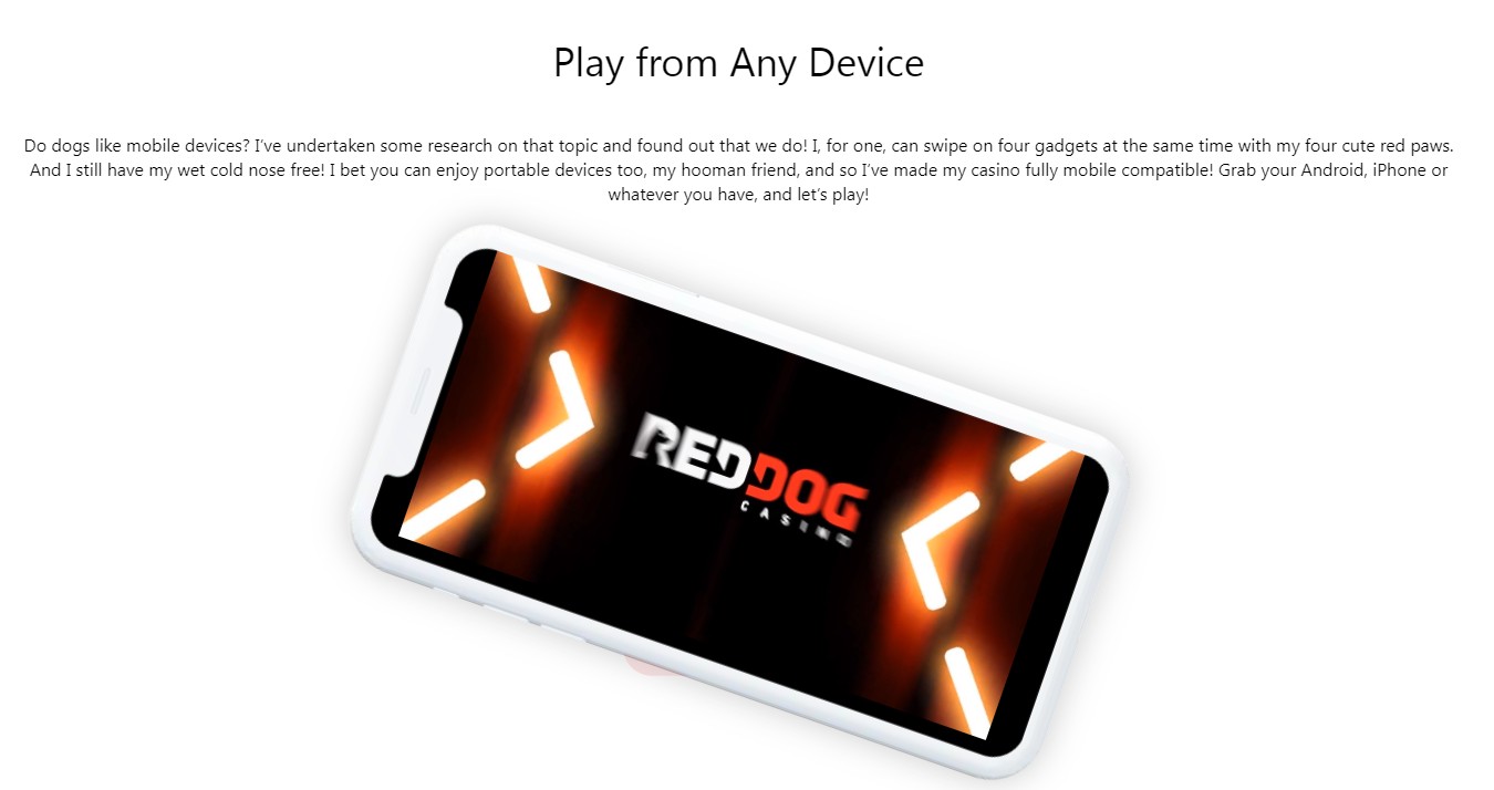 red dog casino mobile app